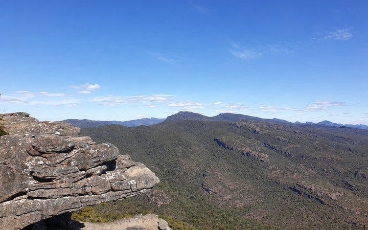Grampians National Park Nature and Wildlife Small-Group Hiking Tour Image 6