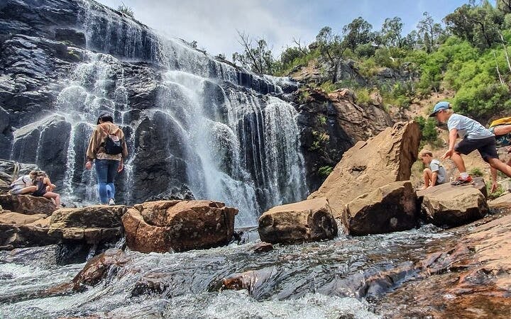 Grampians National Park Nature and Wildlife Small-Group Hiking Tour Image 10