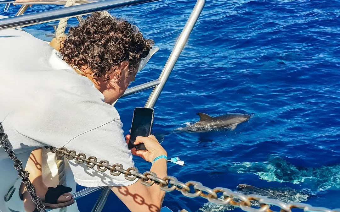 Gran Canaria: Dolphin & Whale Watching Cruise with Glass Bottom & Snorkeling Image 1