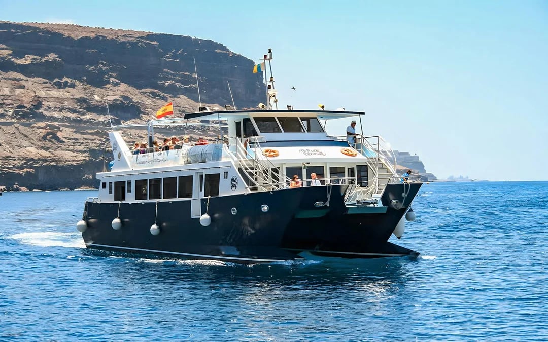 Gran Canaria: Dolphin & Whale Watching Cruise with Glass Bottom & Snorkeling Image 2