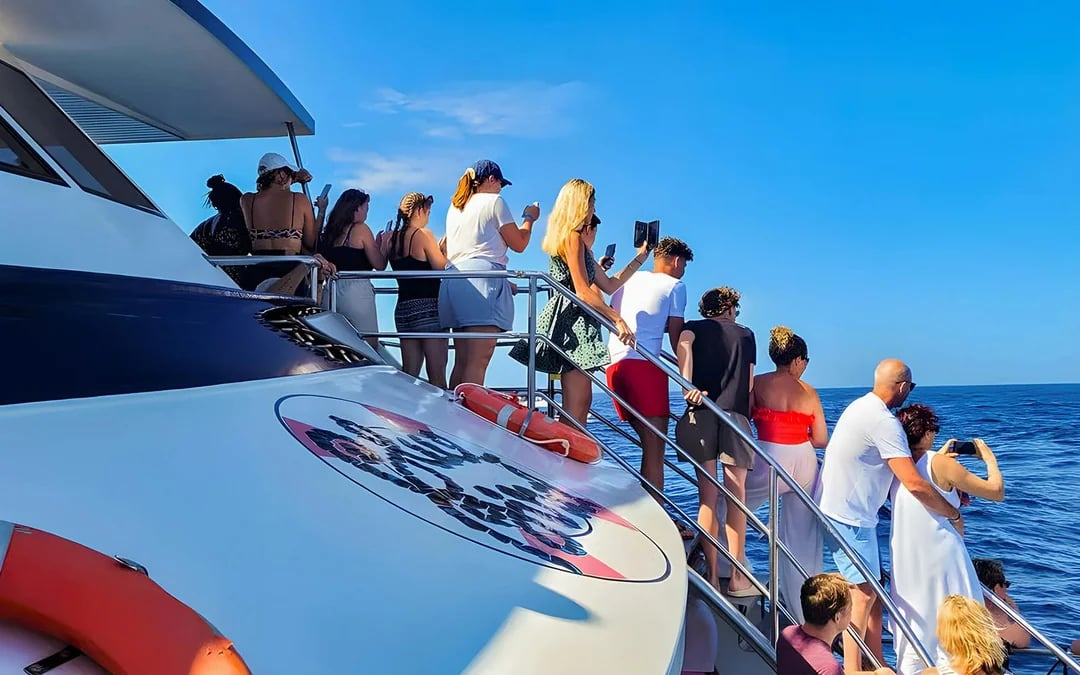 Gran Canaria: Dolphin & Whale Watching Cruise with Glass Bottom & Snorkeling Image 6