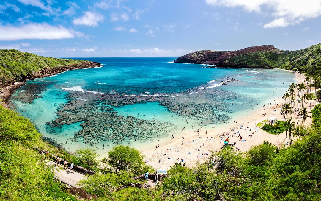 Grand Circle Island Oahu & Haleiwa Full-Day Tour Image 2