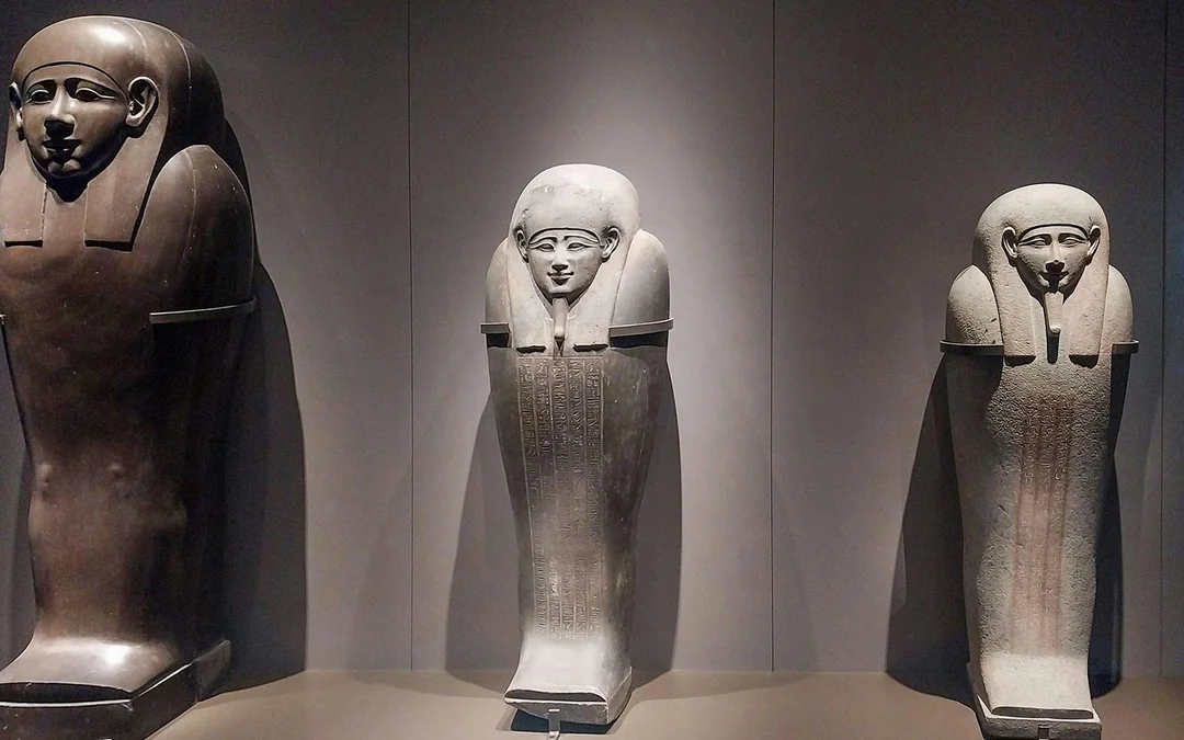 Grand Egyptian Museum Guided Tour with Entry Tickets & Hotel Transfers Image 12