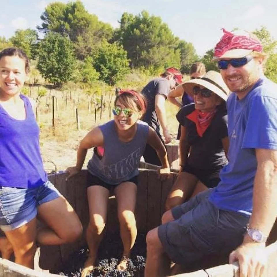 Grape stomping experience at Les Pastras