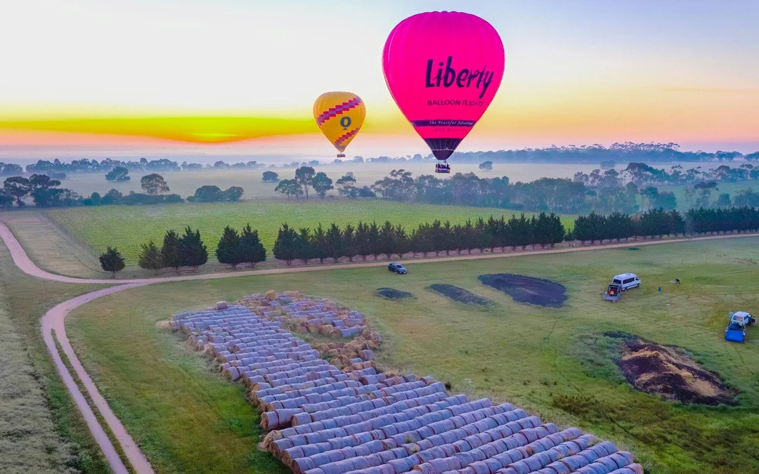 Great Ocean Balloon Flight - Geelong/Bellarine at Sunrise Image 3