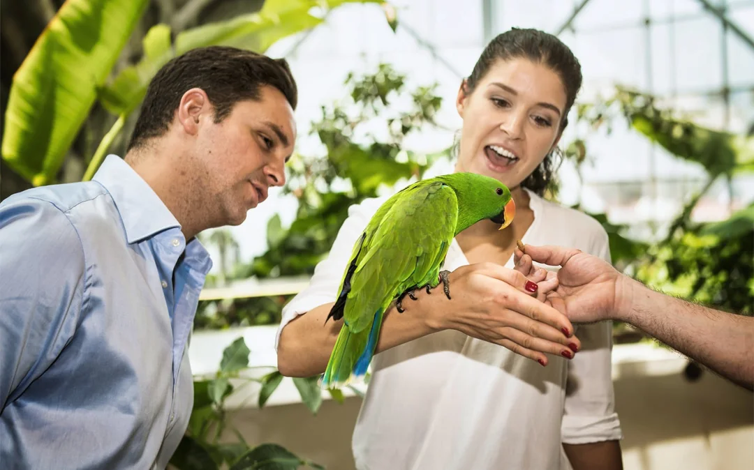 Green Planet Dubai Tickets Image 4