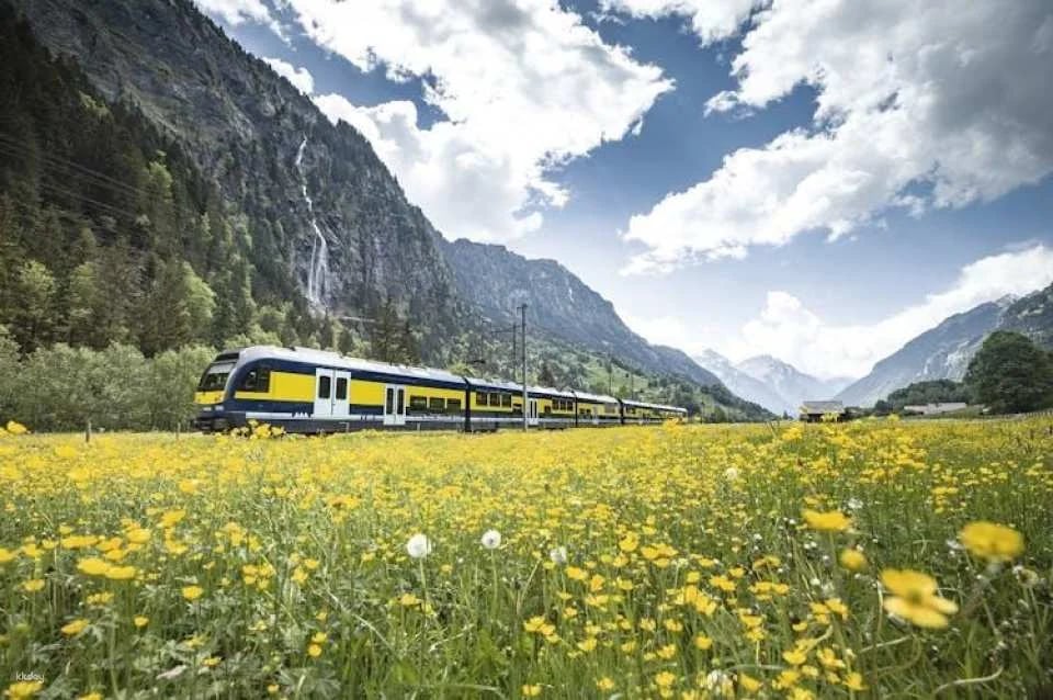 Grindelwald and Mount First full-day adventure from Zurich