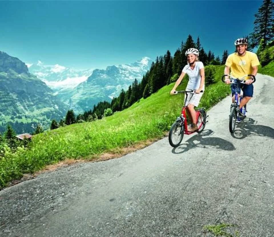 Grindelwald and Mount First full-day adventure from Zurich