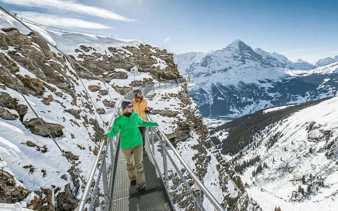 Grindelwald First Mountain Tickets Image 2