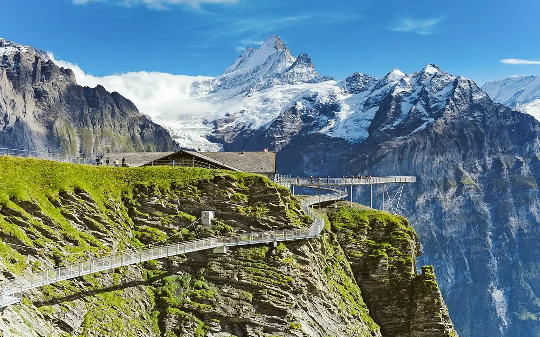 Grindelwald First Mountain Tickets Image 4