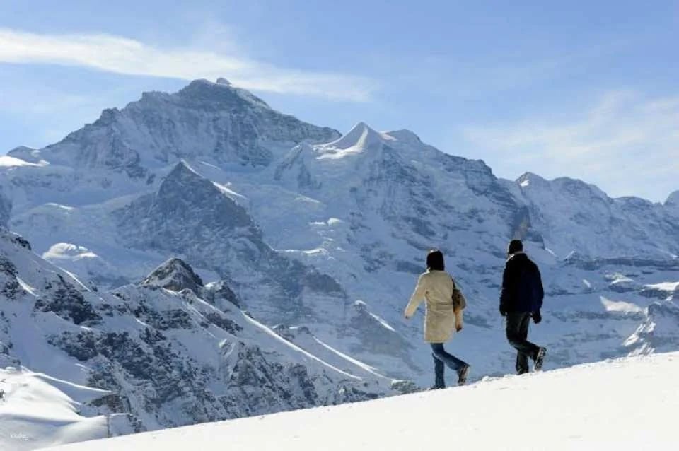 Grindelwald, Interlaken, and Lauterbrunnen day trip from Zurich