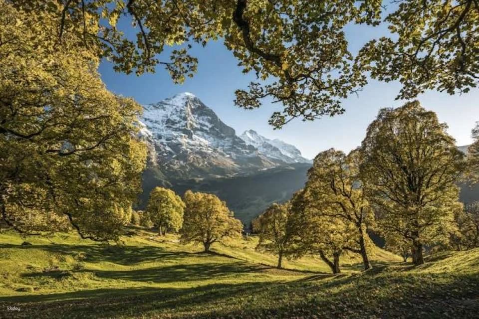 Grindelwald, Interlaken, and Lauterbrunnen day trip from Zurich