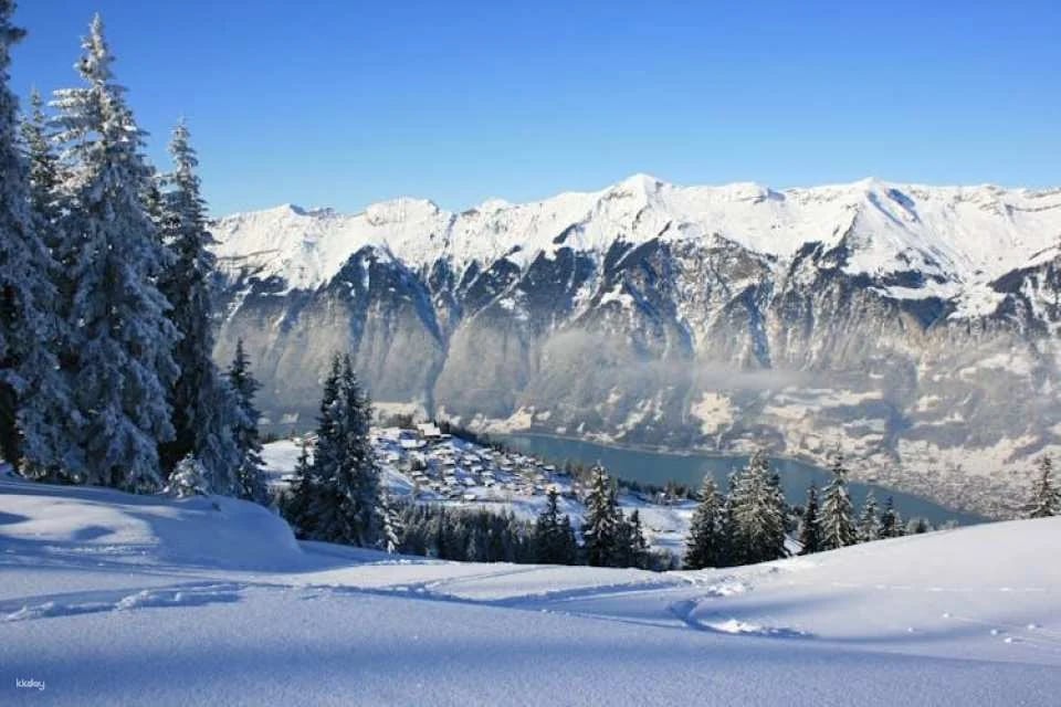 Grindelwald, Interlaken, and Lauterbrunnen day trip from Zurich