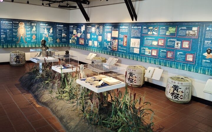 <Group Tour>Kyoto: Fushimi Sake Brewery Tour - 18 Tastings in 2.5 Hours Image 10