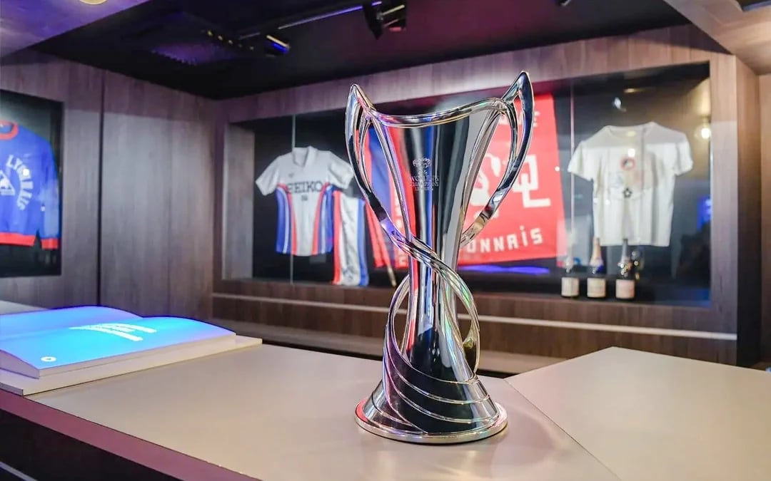 Groupama Stadium (OL Stadium): Guided Stadium Tour + Museum Entry Image 3