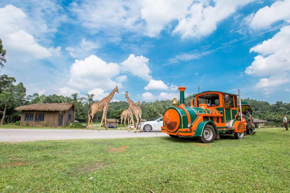 Guangzhou Chimelong Safari Park Ticket | Exclusive Offer with FREE AIRSIM Global Data SIM Card