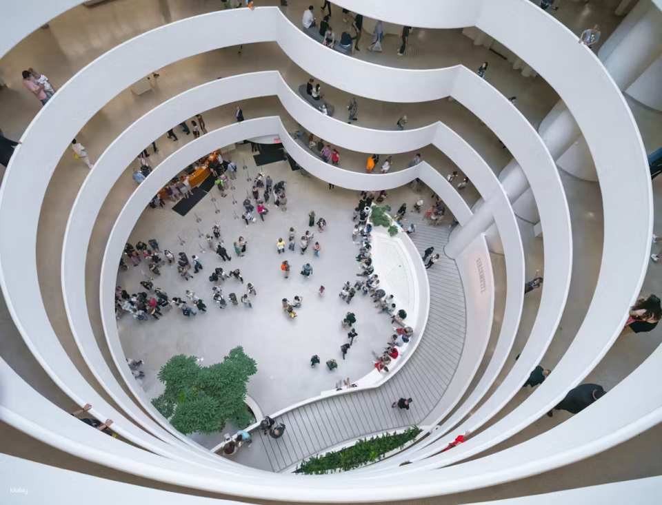 Guggenheim Museum Ticket | New York