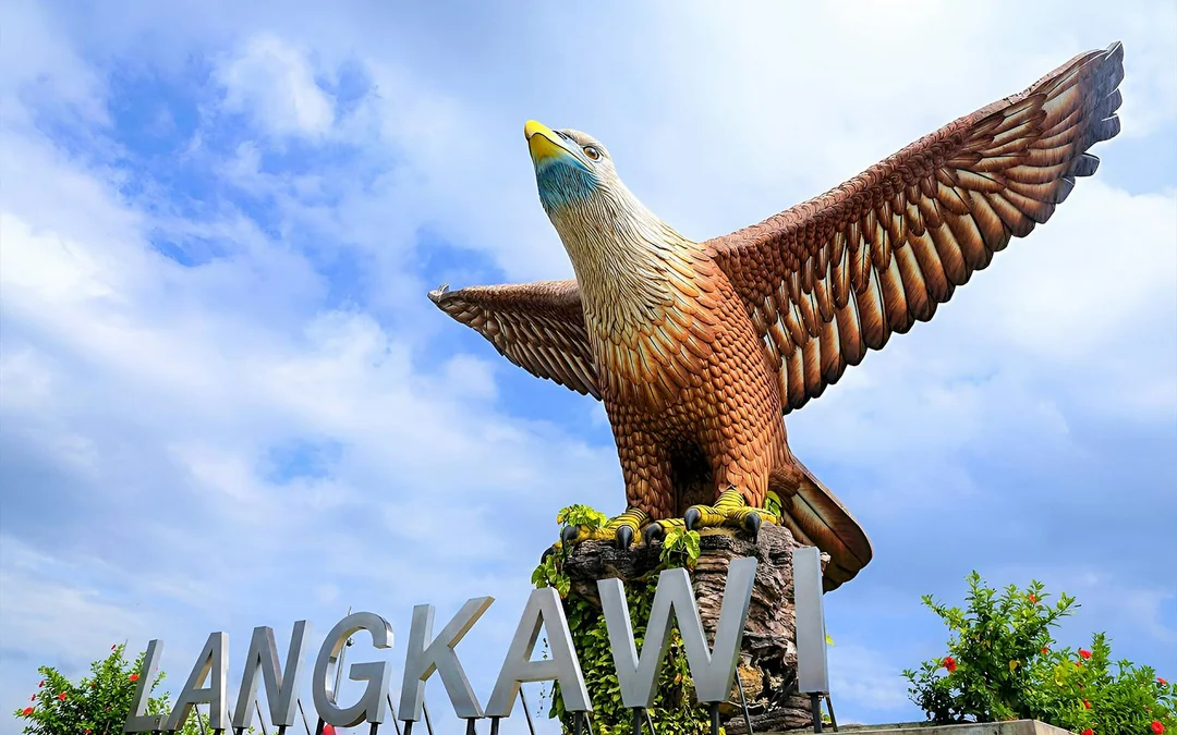 Guided Bird Watching Tour in Langkawi with Round-Trip Transfers Image 4