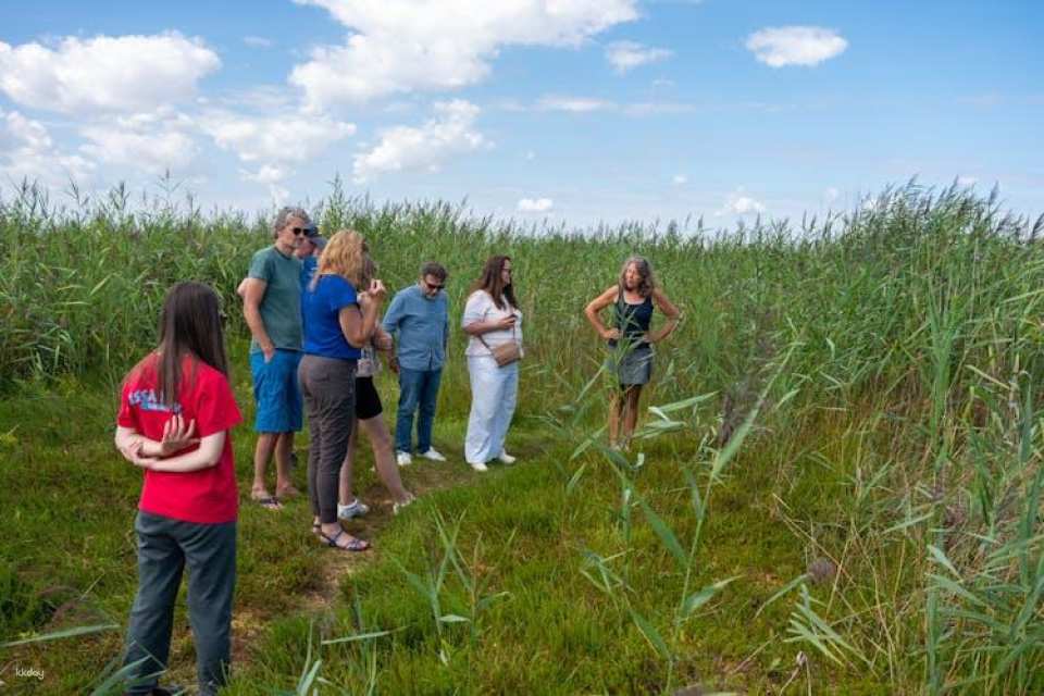 Guided canoe tour in the wetlands close to Amsterdam