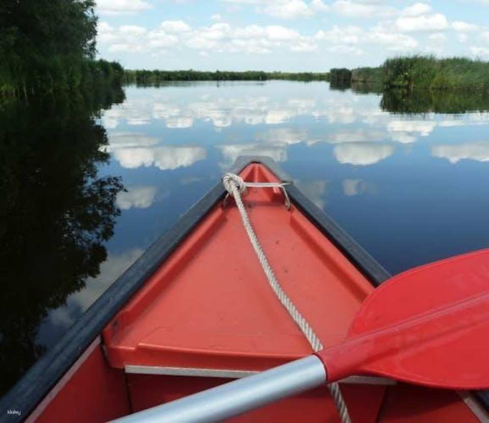 Guided canoe tour in the wetlands close to Amsterdam
