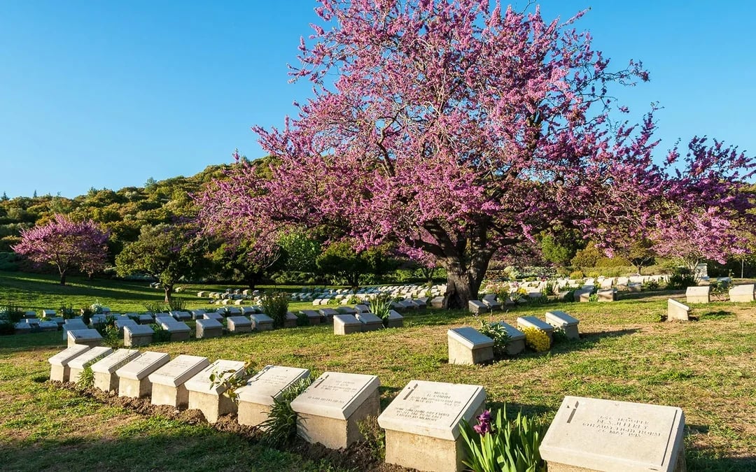 Guided Day Tour of Gallipoli Peninsula from Istanbul with Lunch Image 3