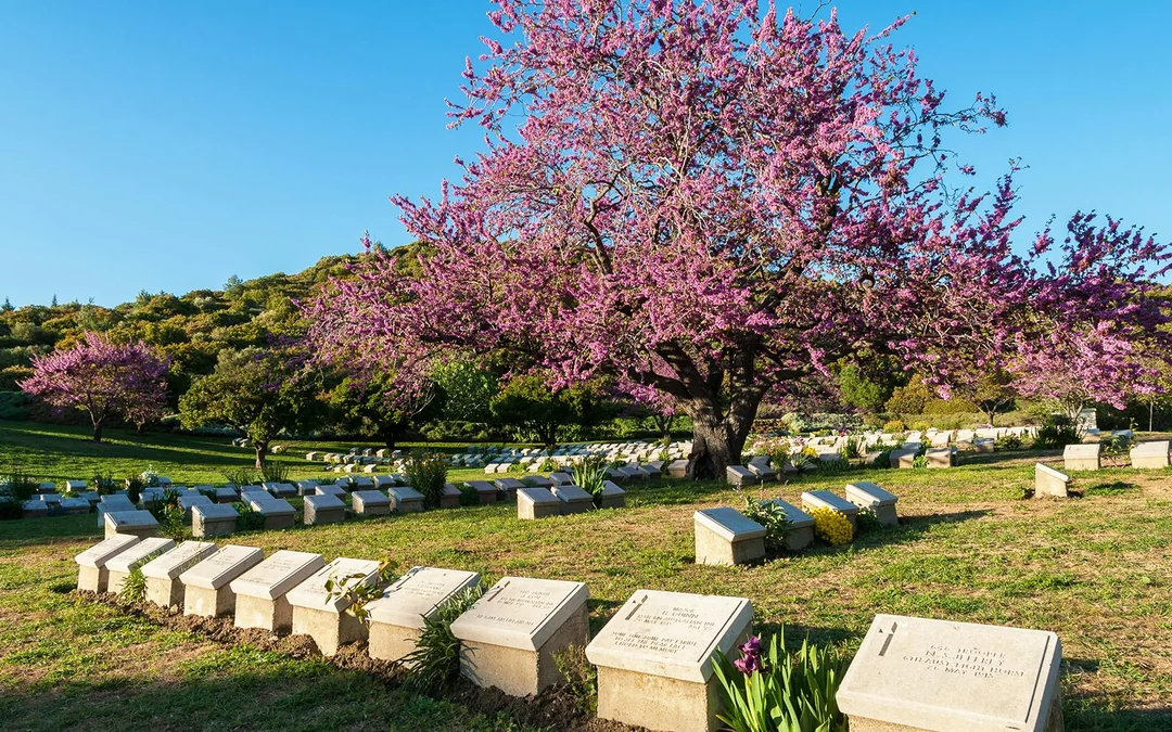 Guided Day Tour of Gallipoli Peninsula from Istanbul with Lunch Image 3
