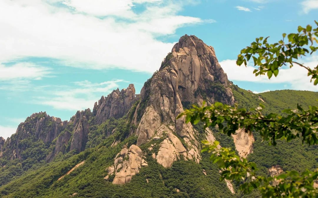 Guided Day Tour of Mt. Seorak & Naksansa Temple with Transfers Image 2