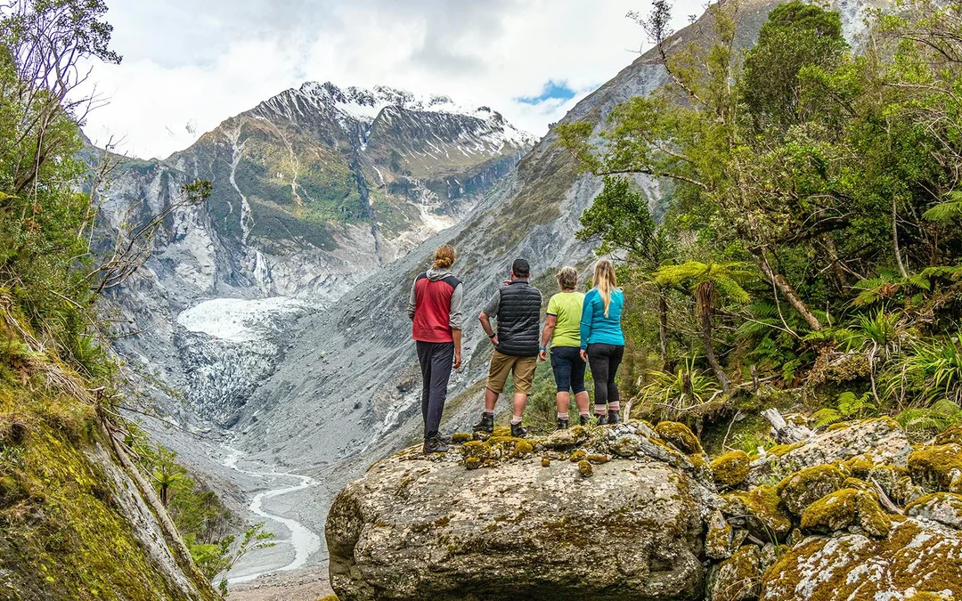 Guided E-Bike & Hiking Fox Glacier Valley Tour
Image 1