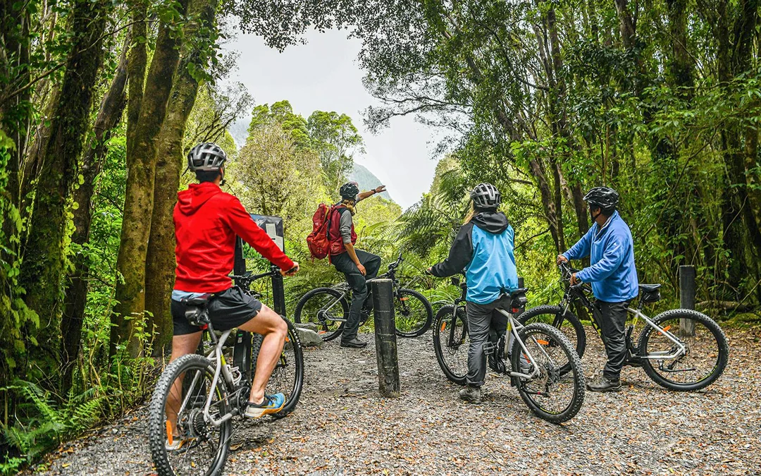 Guided E-Bike & Hiking Fox Glacier Valley Tour
Image 2