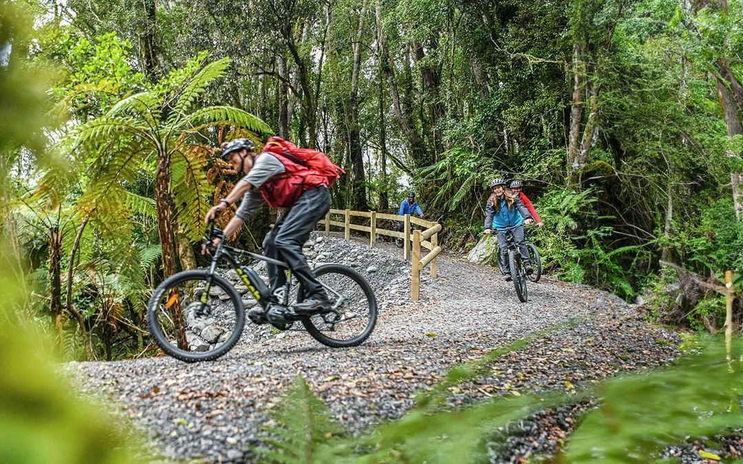 Guided E-Bike & Hiking Fox Glacier Valley Tour
Image 3