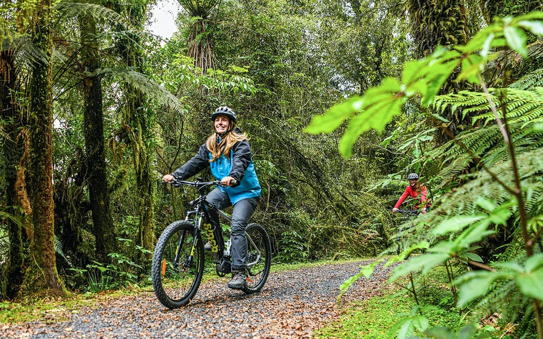 Guided E-Bike & Hiking Fox Glacier Valley Tour
 Image 4