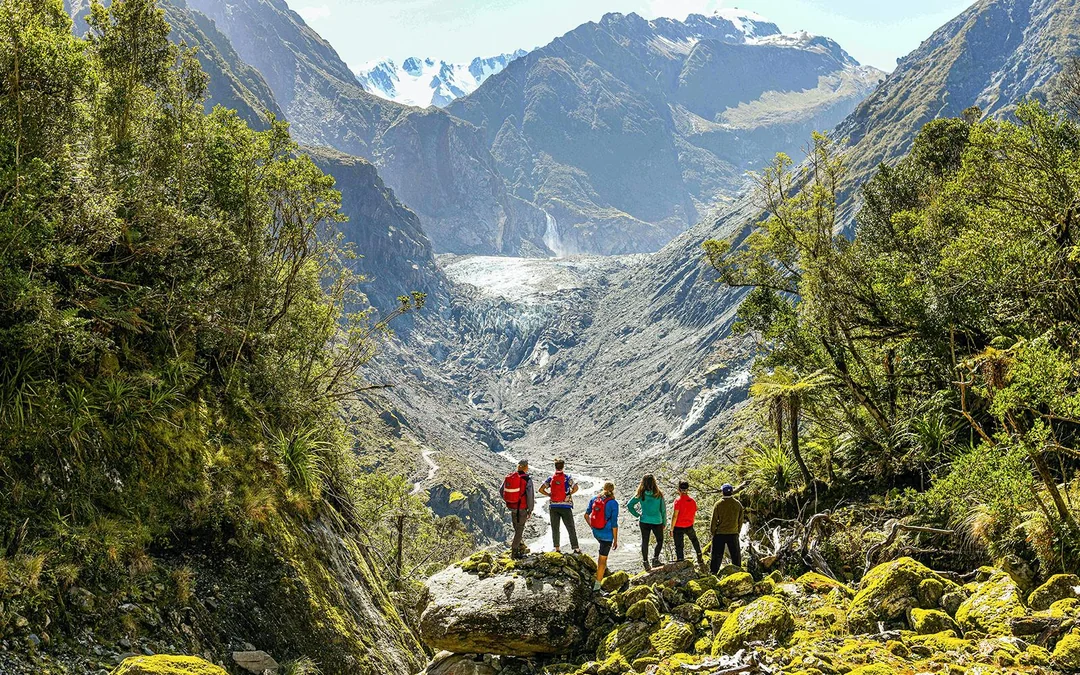 Guided E-Bike & Hiking Fox Glacier Valley Tour
Image 6