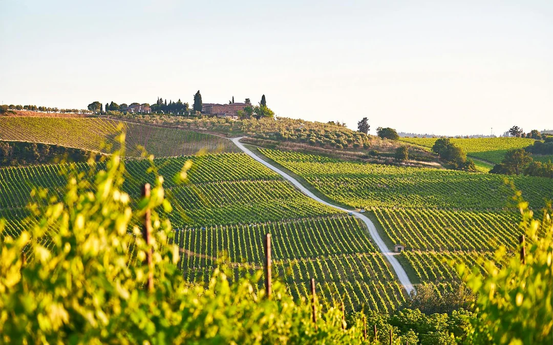 Guided E-Bike Rental in Chianti with Dinner Image 2