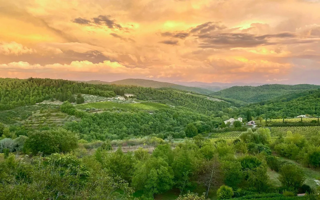 Guided E-Bike Rental in Chianti with Dinner Image 3