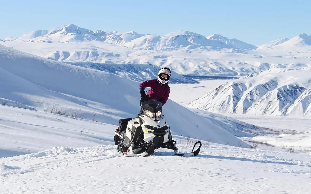 Guided Snowmobile Tour: Frozen Lakes & Forest Trails with Safety Briefing & Gear Check Image 2