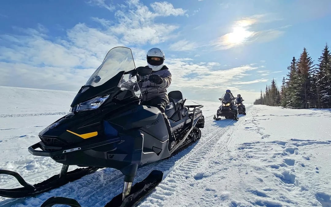 Guided Snowmobile Tour: Frozen Lakes & Forest Trails with Safety Briefing & Gear Check Image 6