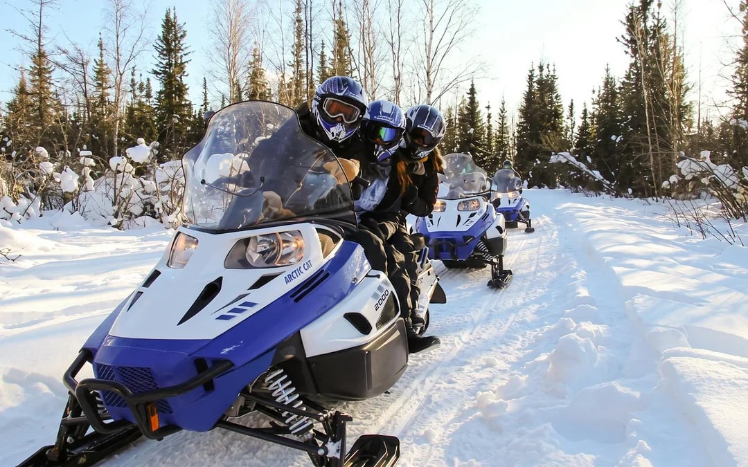 Guided Snowmobile Tour: Frozen Lakes & Forest Trails with Safety Briefing & Gear Check Image 9