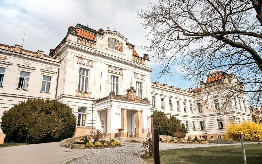 Guided Tour of Bohnice Psychiatric Hospital and Abandoned Cemetery in Prague Image 2