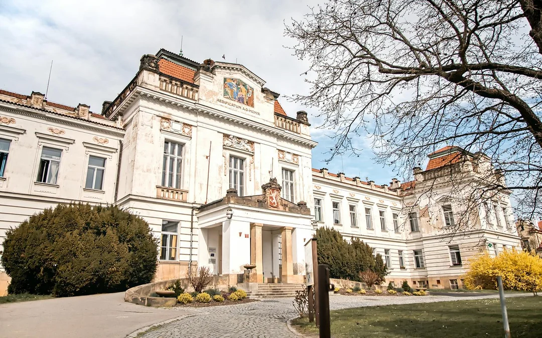 Guided Tour of Bohnice Psychiatric Hospital and Abandoned Cemetery in Prague Image 2
