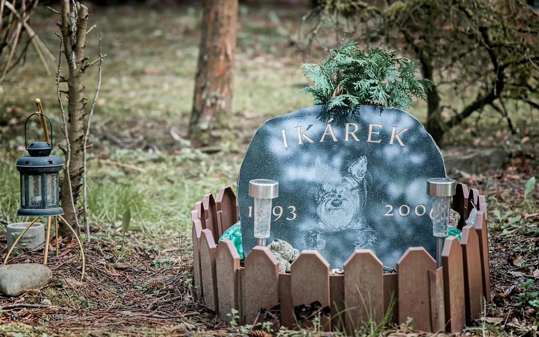 Guided Tour of Bohnice Psychiatric Hospital and Abandoned Cemetery in Prague Image 5