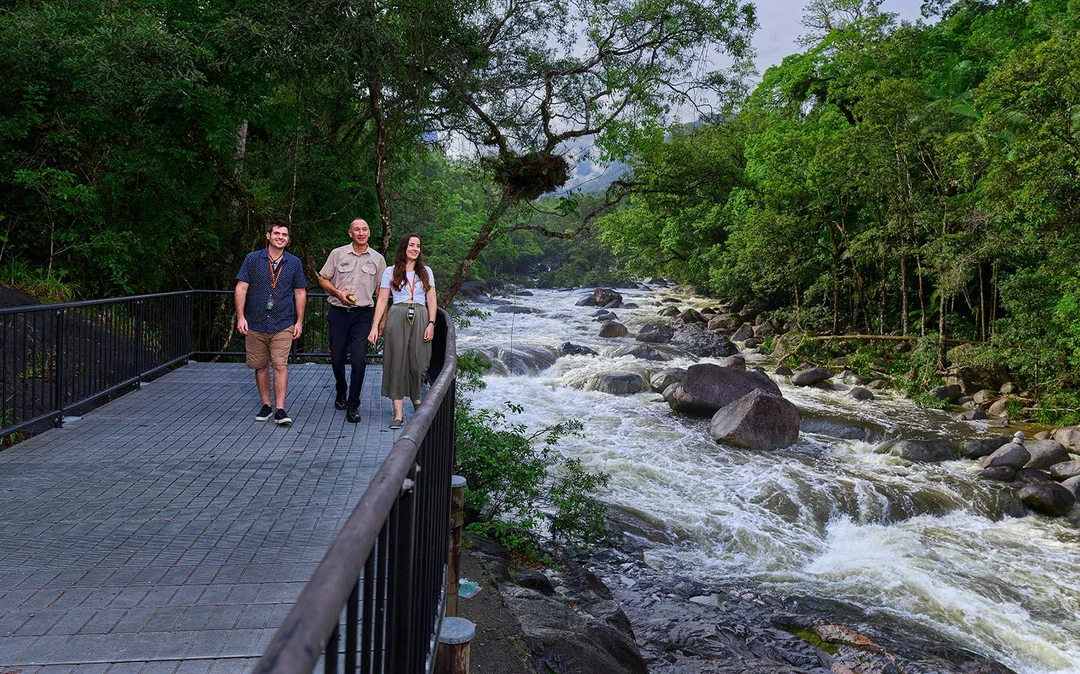 Guided Tour of Cape Tribulation, Daintree & Mossman Gorge with Hotel Transfers + Lunch Image 3