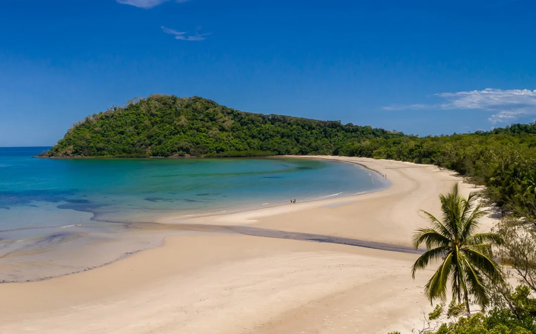 Guided Tour of Cape Tribulation, Daintree & Mossman Gorge with Hotel Transfers + Lunch Image 5