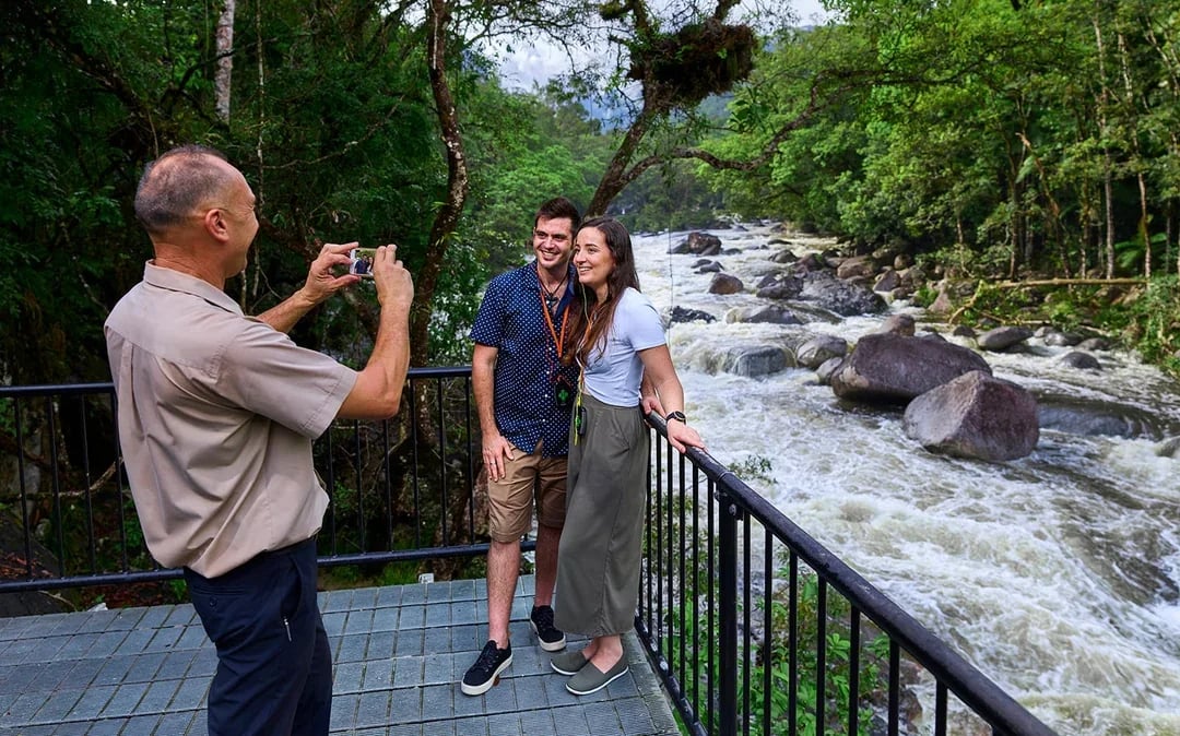 Guided Tour of Cape Tribulation, Daintree & Mossman Gorge with Hotel Transfers + Lunch Image 6