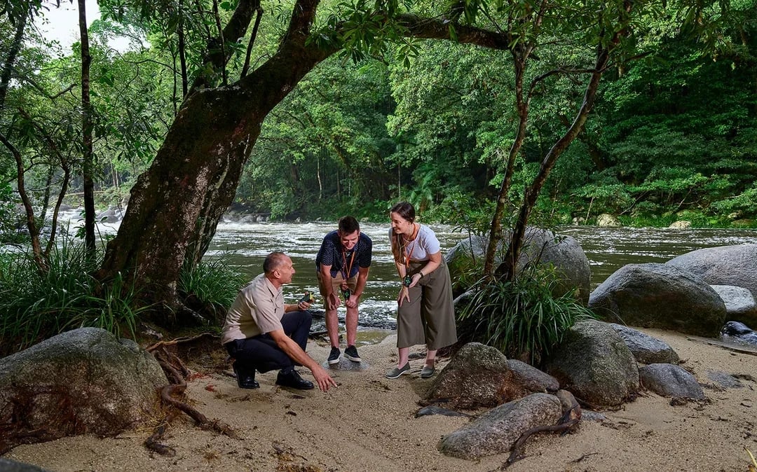 Guided Tour of Cape Tribulation, Daintree & Mossman Gorge with Hotel Transfers + Lunch Image 7