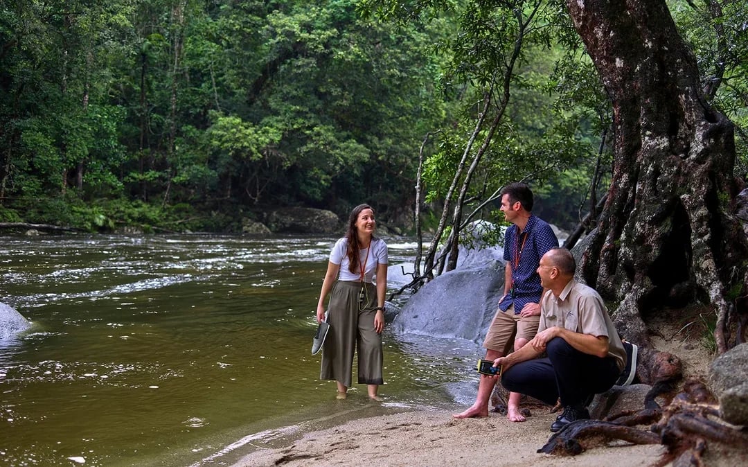 Guided Tour of Cape Tribulation, Daintree & Mossman Gorge with Hotel Transfers + Lunch Image 8