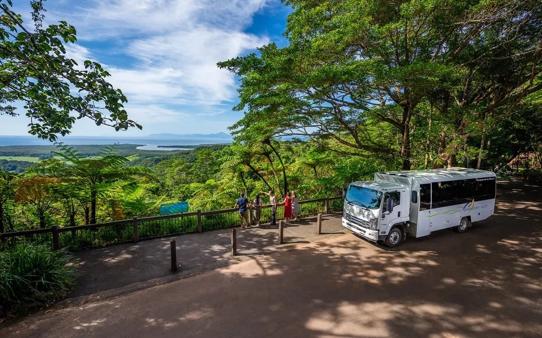 Guided Tour of Cape Tribulation, Daintree & Mossman Gorge with Hotel Transfers + Lunch Image 9