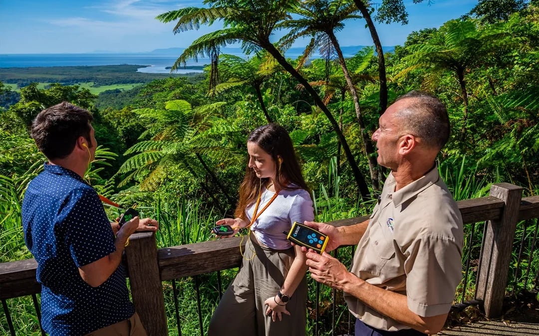 Guided Tour of Cape Tribulation, Daintree & Mossman Gorge with Hotel Transfers + Lunch Image 10