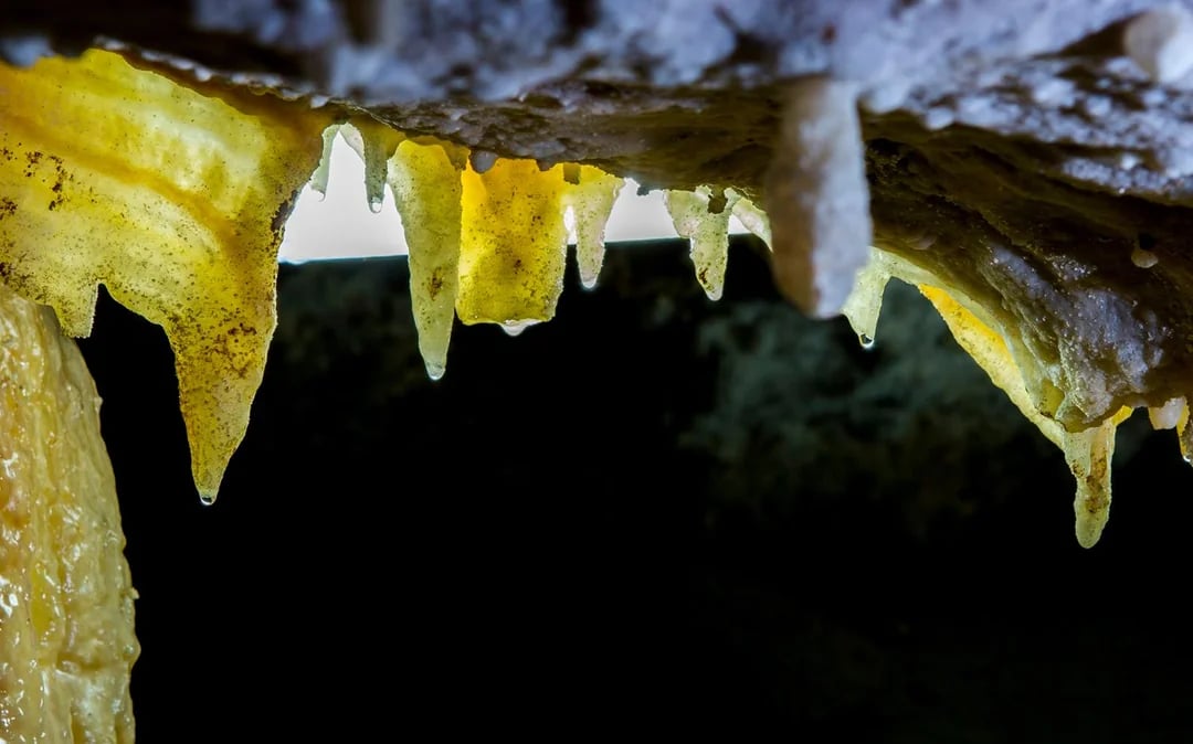 Guided Tour of El Soplao Cave Image 6