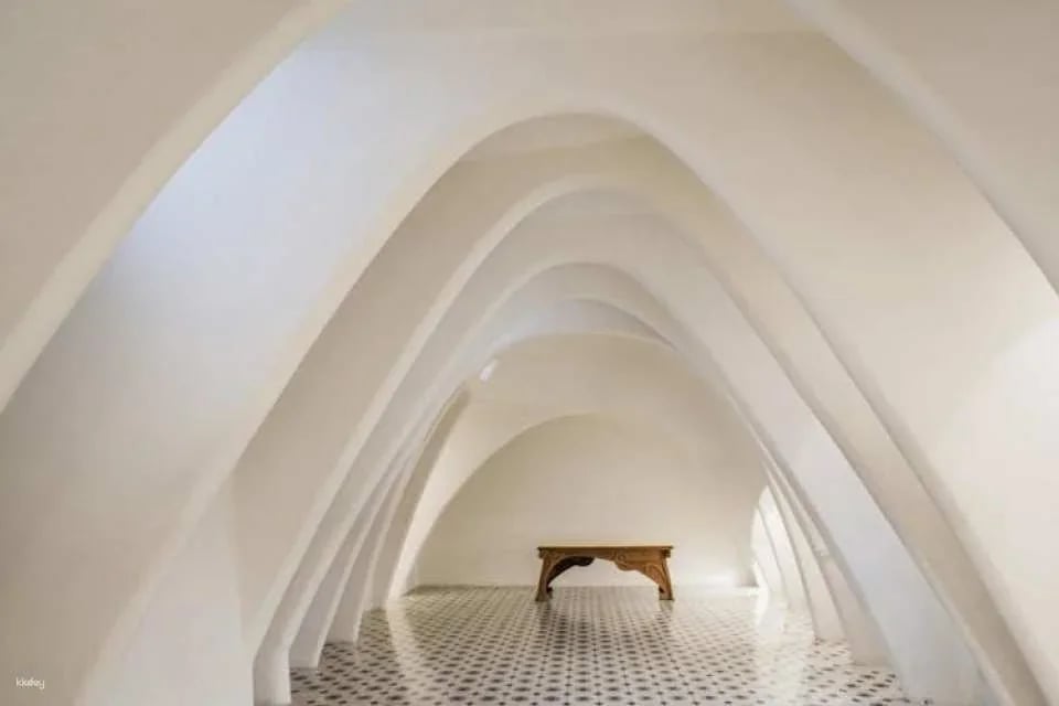 Guided Tour of Gaudí's Houses, Casa Batlló, Casa Milà and Casa Vicens