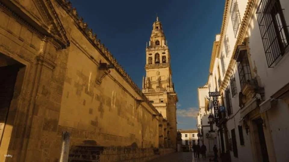 Guided tour of Mosque-Cathedral and Alcázar in Córdoba